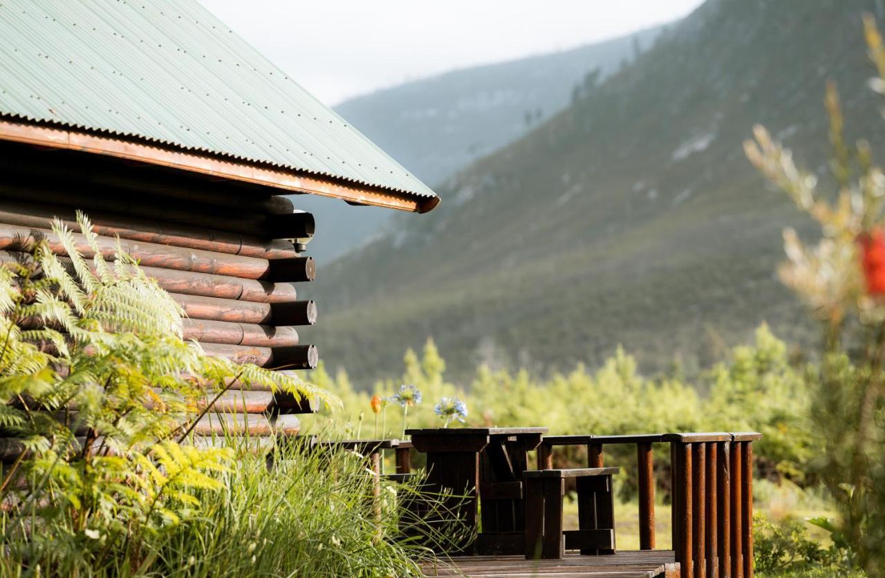 Tsitsikamma Lodge & Spa Stormsrivier Exterior foto