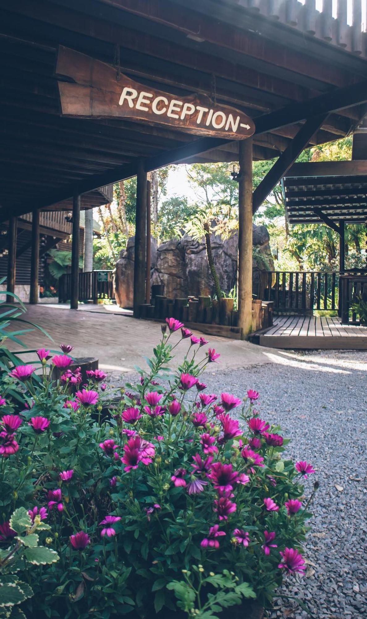 Tsitsikamma Lodge & Spa Stormsrivier Exterior foto