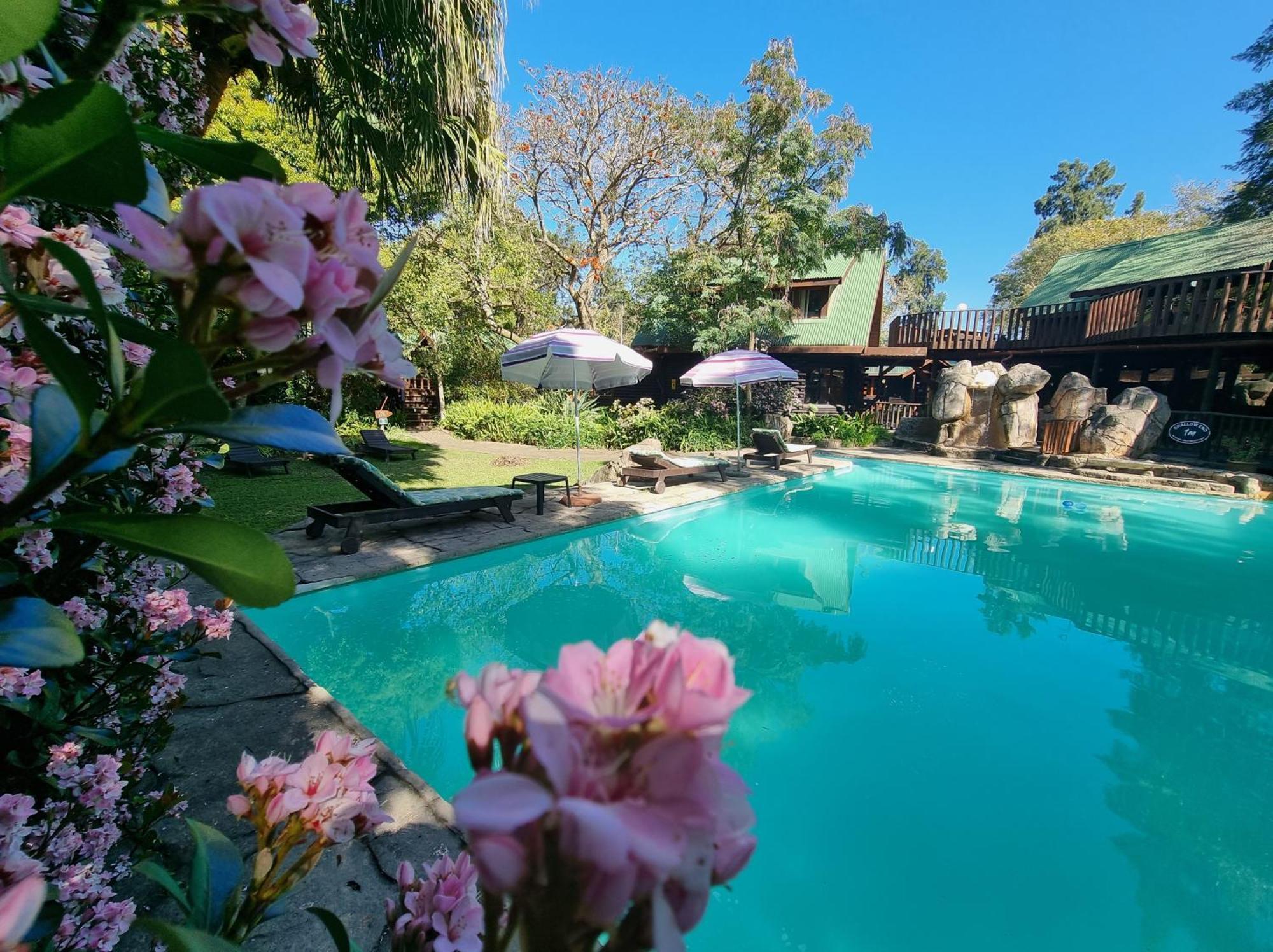 Tsitsikamma Lodge & Spa Stormsrivier Exterior foto